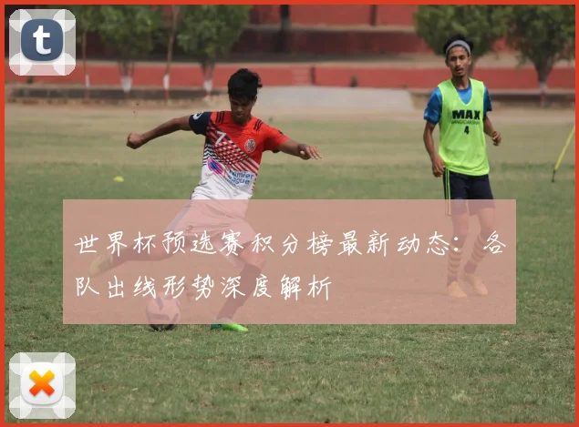世界杯预选赛积分榜最新动态：各队出线形势深度解析