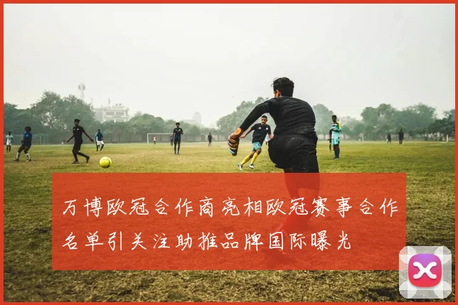万博欧冠合作商亮相欧冠赛事合作名单引关注助推品牌国际曝光