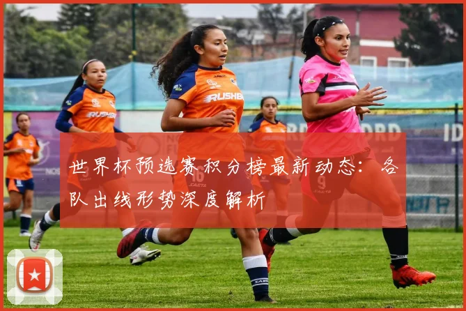 世界杯预选赛积分榜最新动态：各队出线形势深度解析