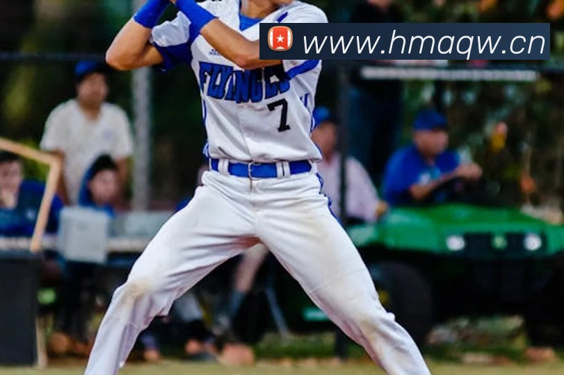 开云app官方入口网页版平台生态图